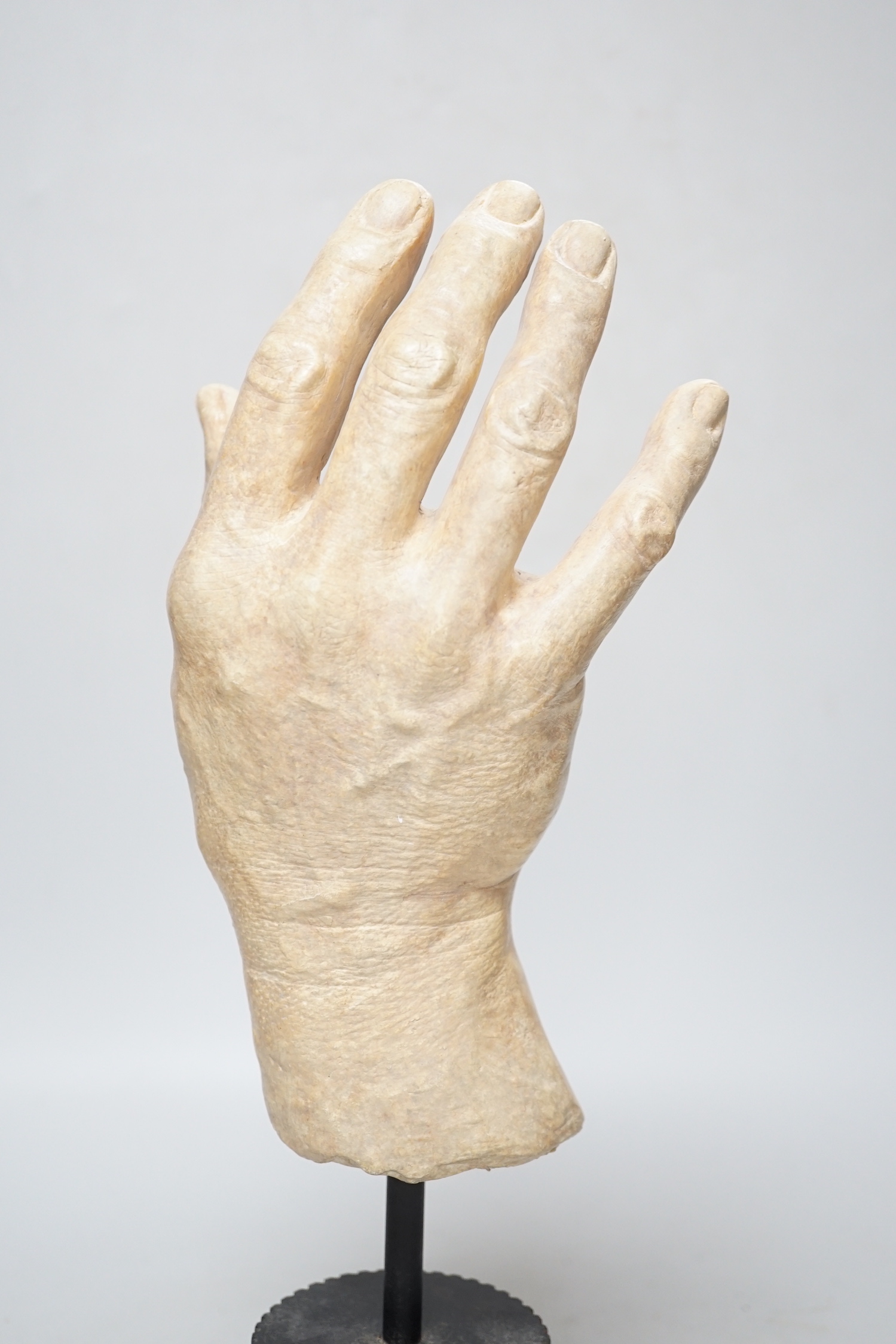 A composition model of a hand raised on a circular column base, 38cm high